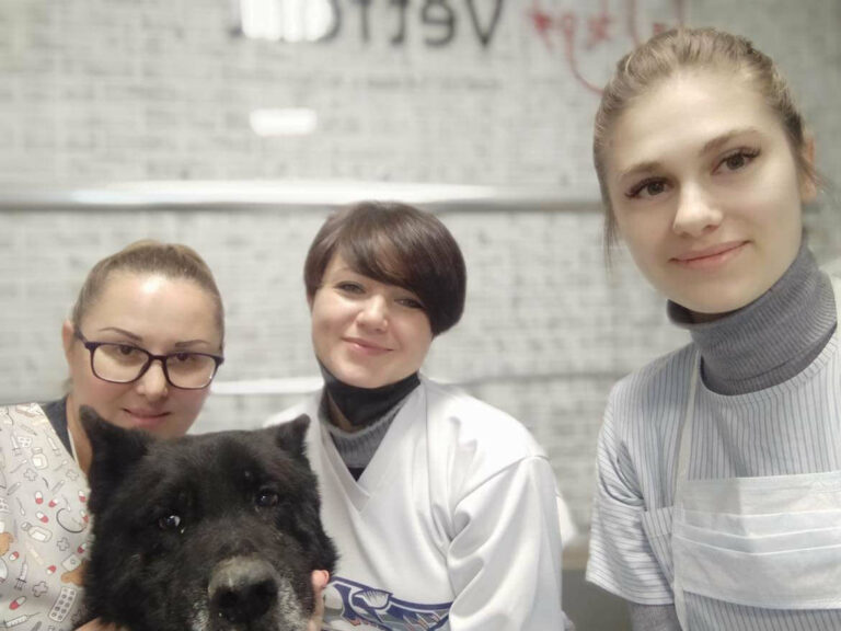 Когда сбываются мечты