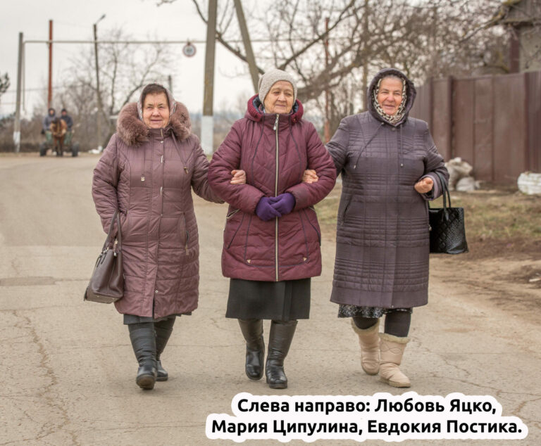 Форточка, куда смотришь, чтобы понять свои корни
