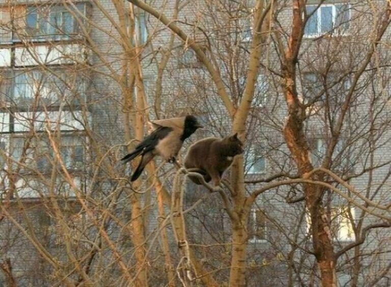 До весны не так далеко