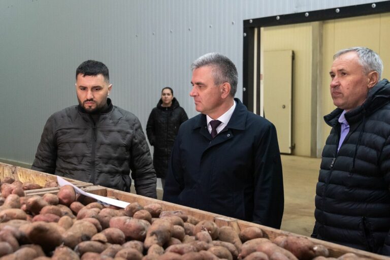 От продовольственной безопасности до строительства жилья