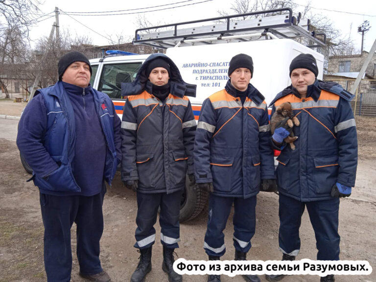 Операция по спасению щенка