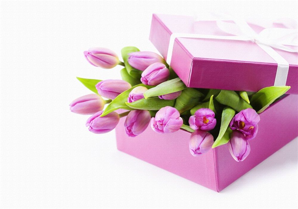 3b598fae-356d-5303-aff0-251e8805d479