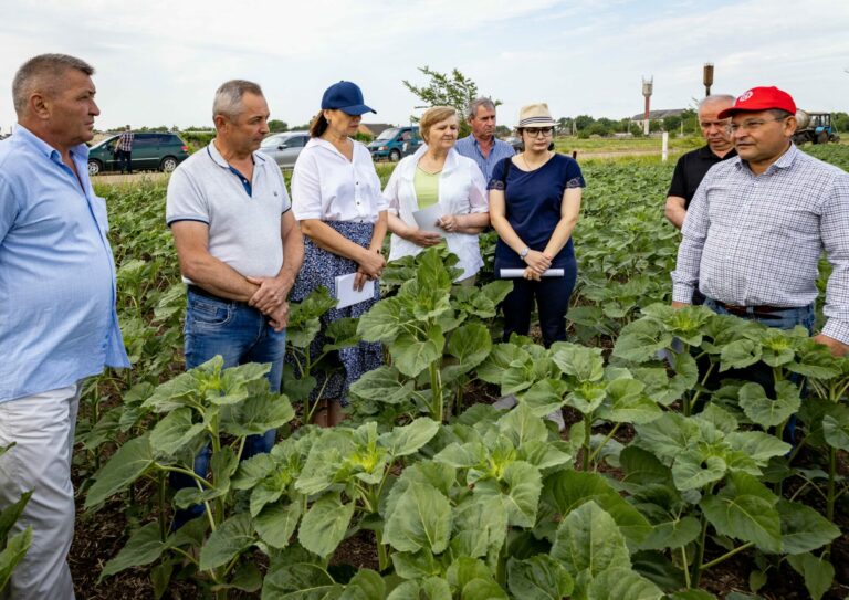 Мелиорация – гарантия получения стабильных урожаев