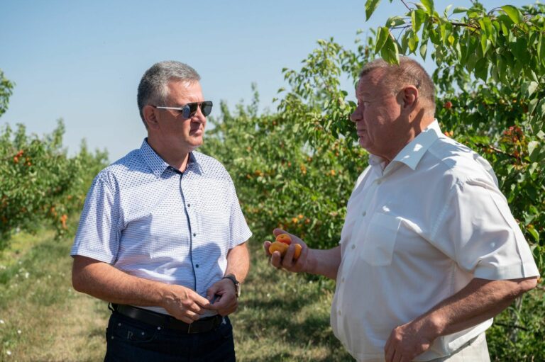 Президентская инспекция: Григориопольский район