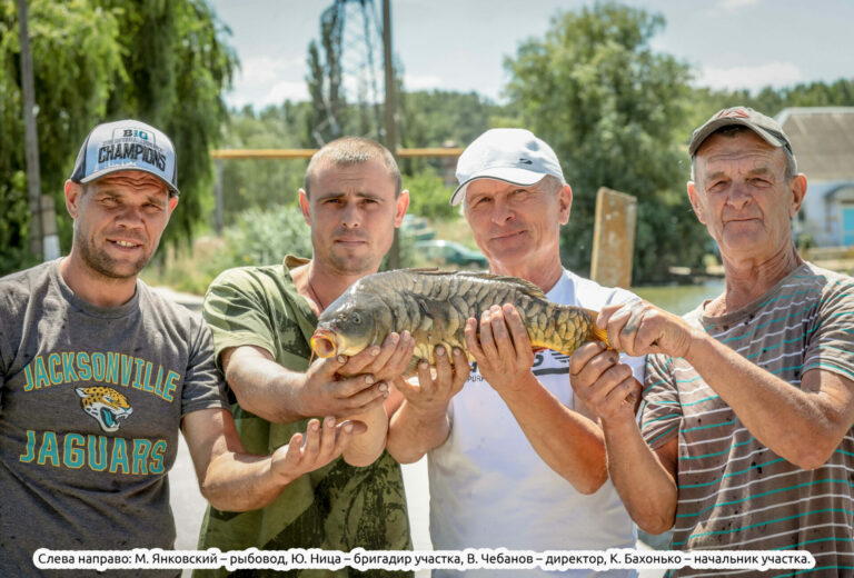 Диалоги о рыбхозе