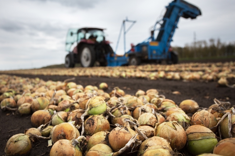 153744276191896976723