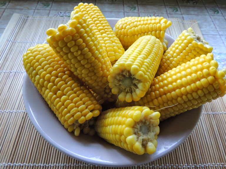 Яркий, солнечный початок