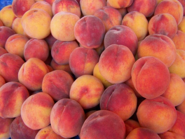 О ходе уборочной кампании