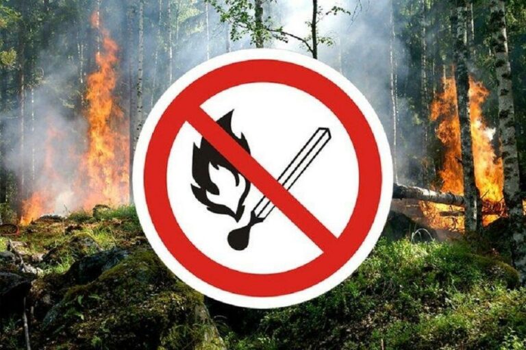 Особый противопожарный режим