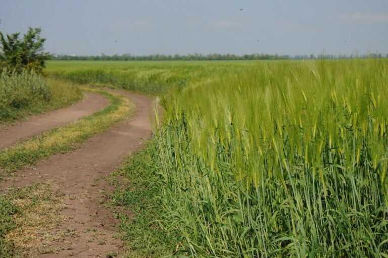 На таких людях держится село