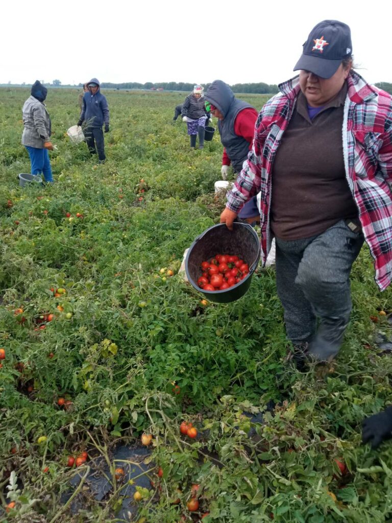 Работой довольны