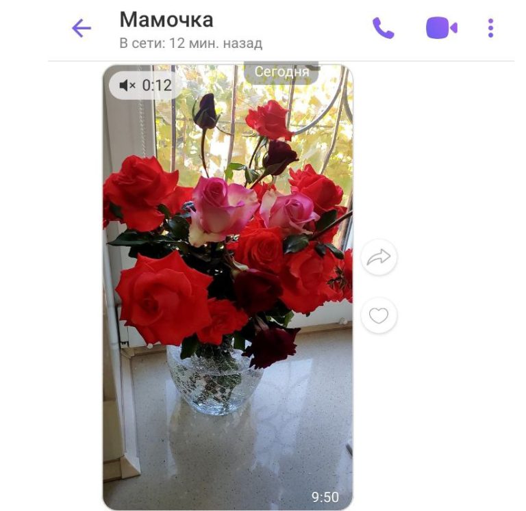 Последние розы