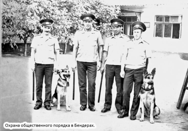 Дело жизни