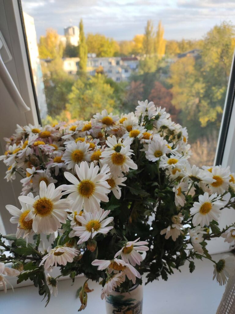 Не в свой день рождения. Каждый день