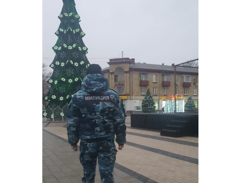 Новогодние елки – под охраной