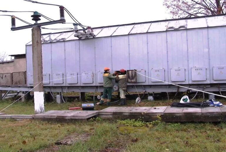 Плодотворный год
