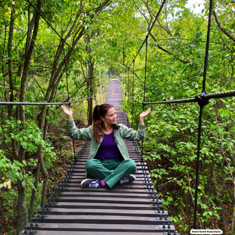 Ветру и солнцу брат