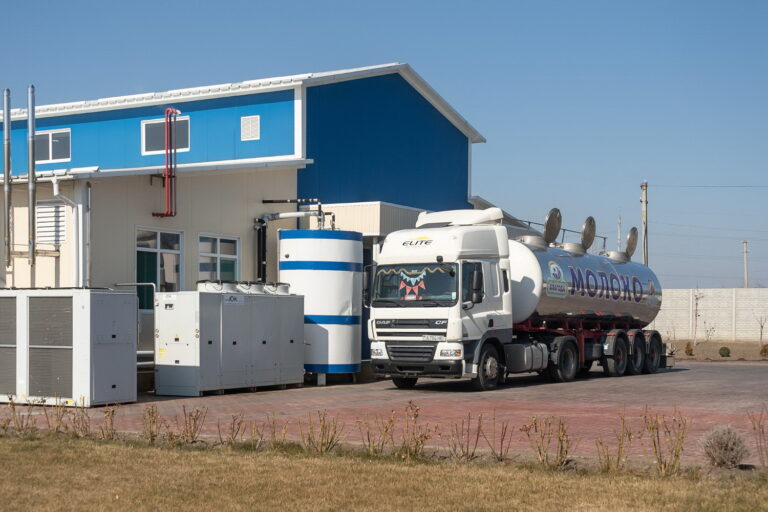 Господдержка молочного животноводства