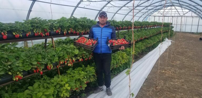 Перспектива есть всегда