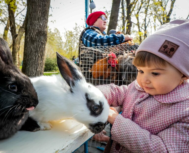 Не ради бизнеса, а для души