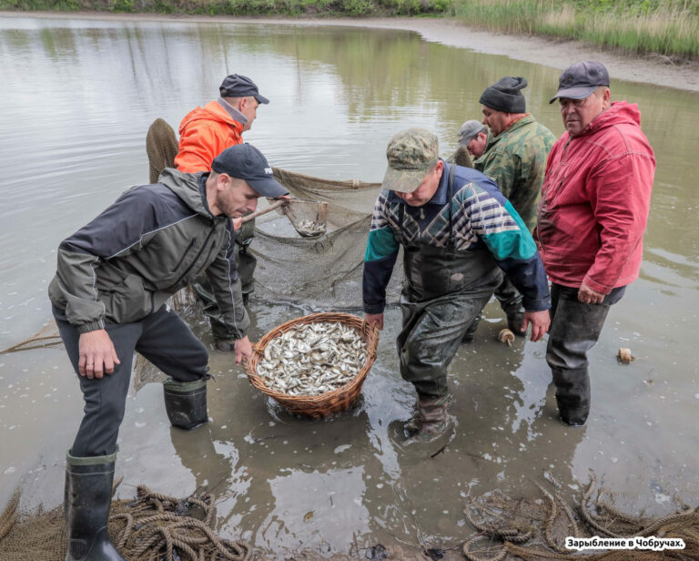 Пополнить рыбные запасы республики