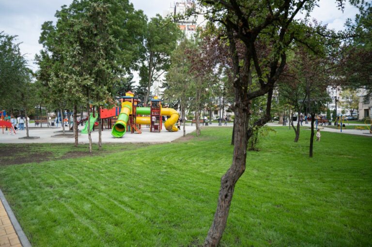 Город, в котором мы живем