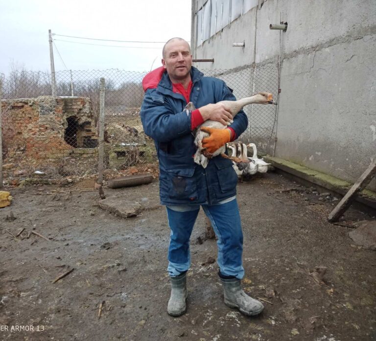 Все свое, домашнее
