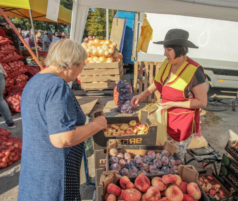 Слободзея. Картинки с выставки