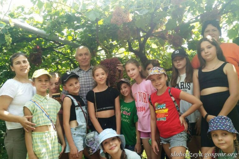 В «янтарных лабиринтах»