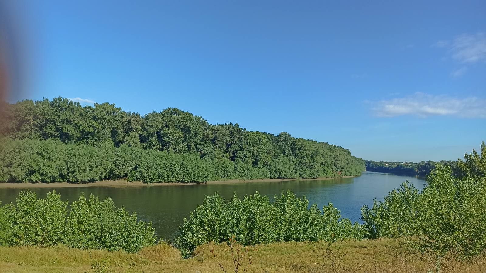 На свидание с Паном фотоЛеон полевой