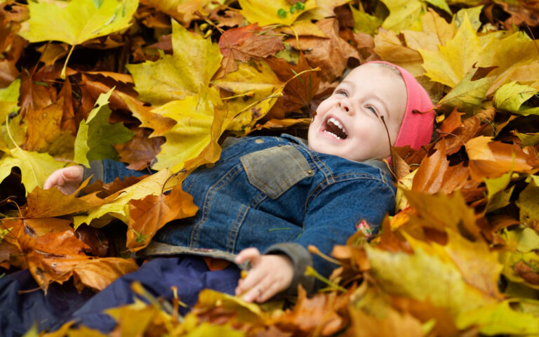 Сентябрь роспись леса начинает