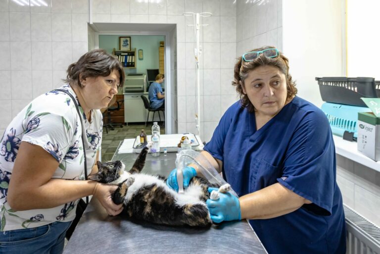 Почти девиз спецназа