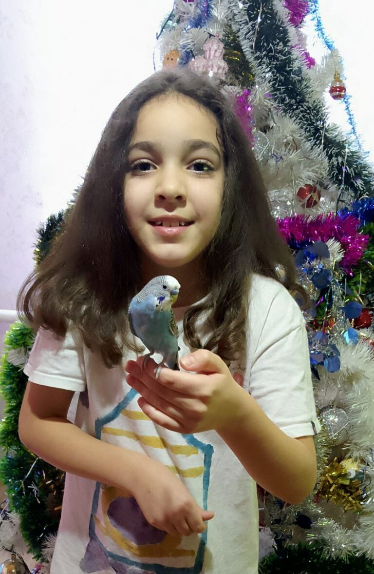 Наш любимый попугай