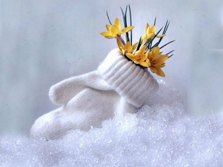 Приятные хлопоты