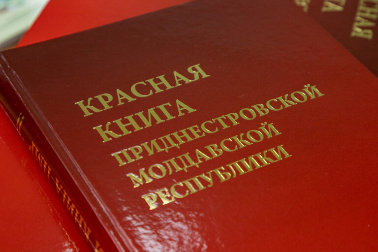 Цветущая красота от барона