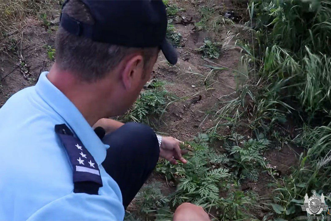 photo_2024-05-16_15-28-19