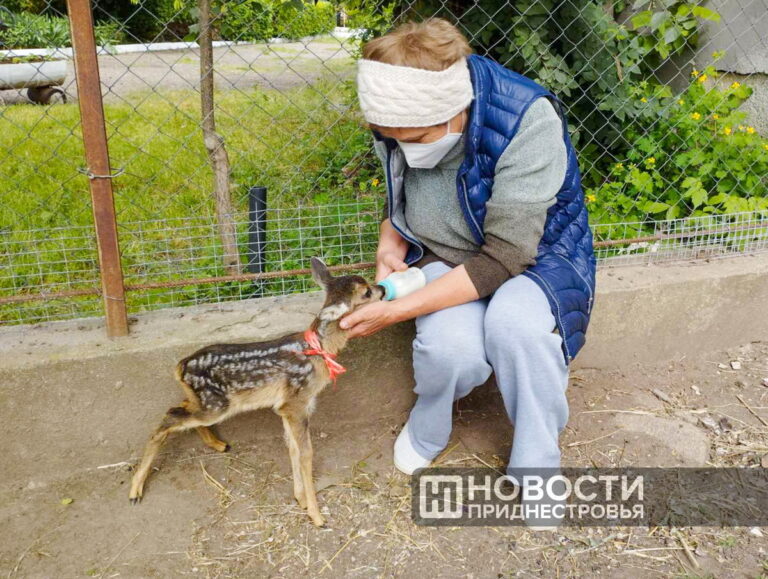 Весна – это новая жизнь