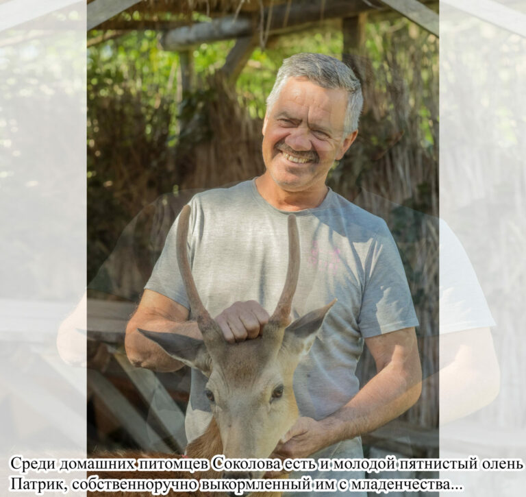 С любовью к небу и родной земле