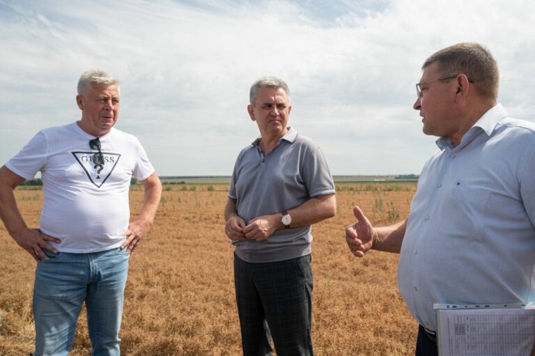 Аграрная инспекция