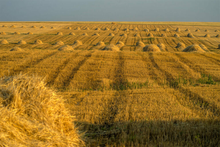 Благодарны аграриям
