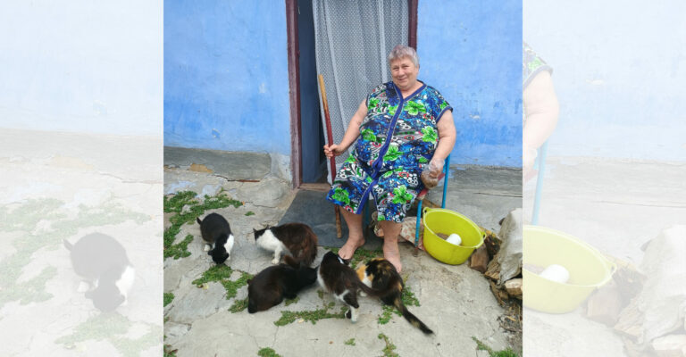 Сидела женщина с котом…