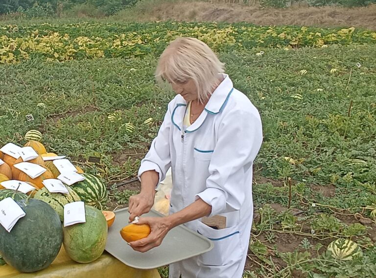 Мулен Руж и Кокетка приднестровских полей