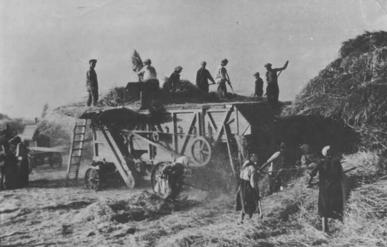 История длиною в век