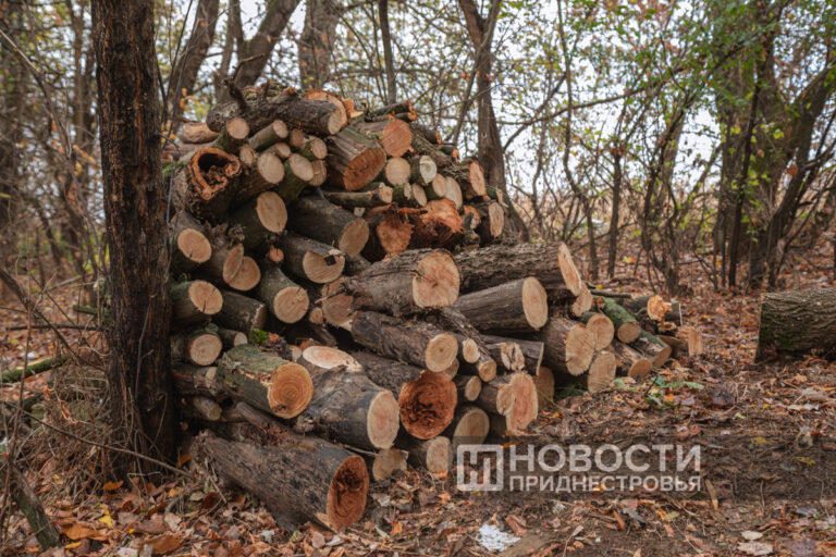 Помощь рядом