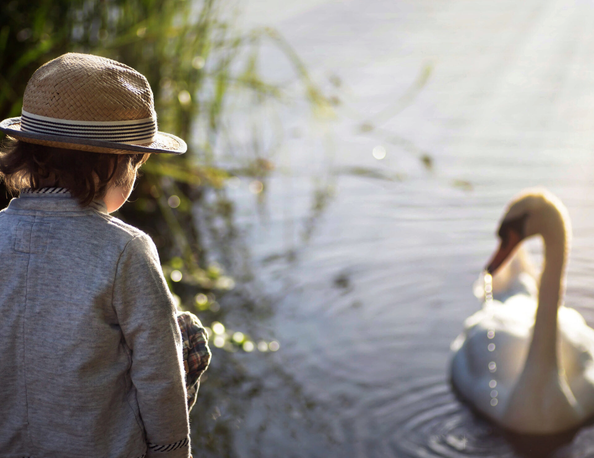malchik-lebed-ozero копия