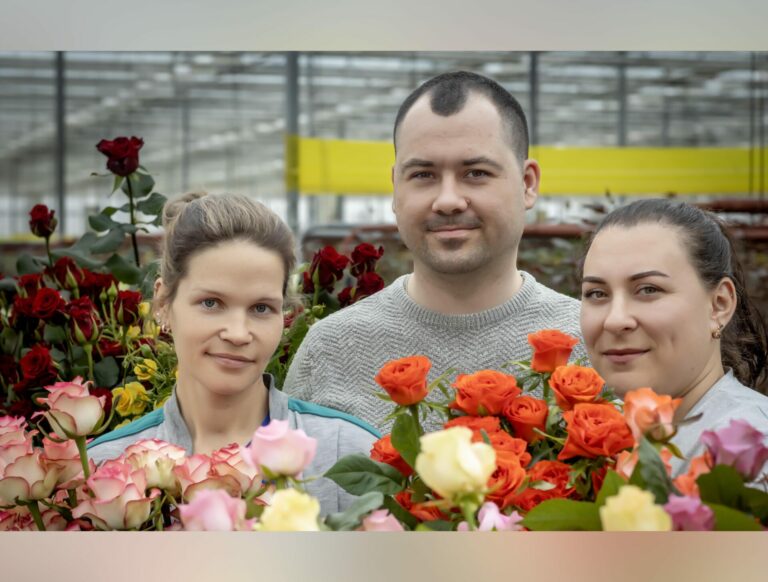 Красота, которая нам нужна