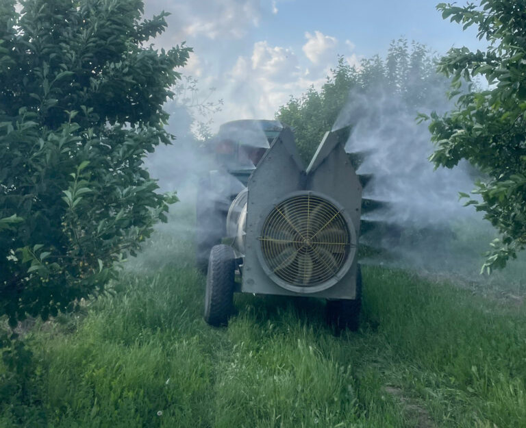 Хозяева земли