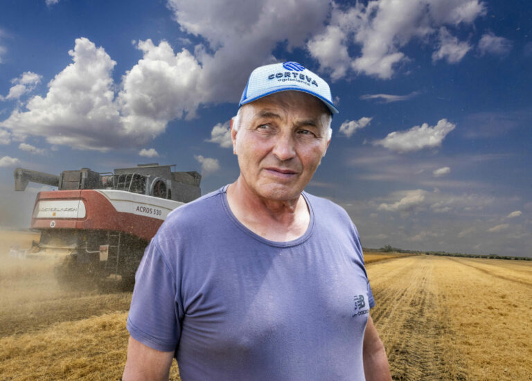 Лён мой, лён…