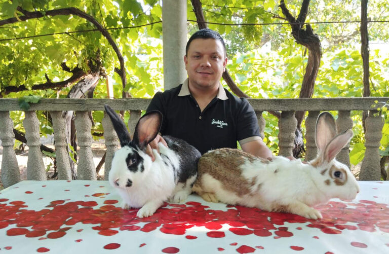 Где дом, там и полезное дело