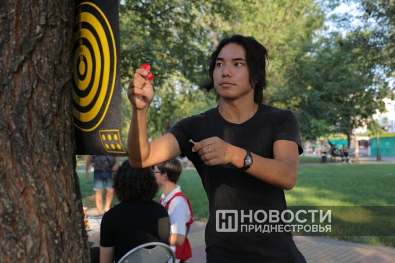 Парковый фестиваль